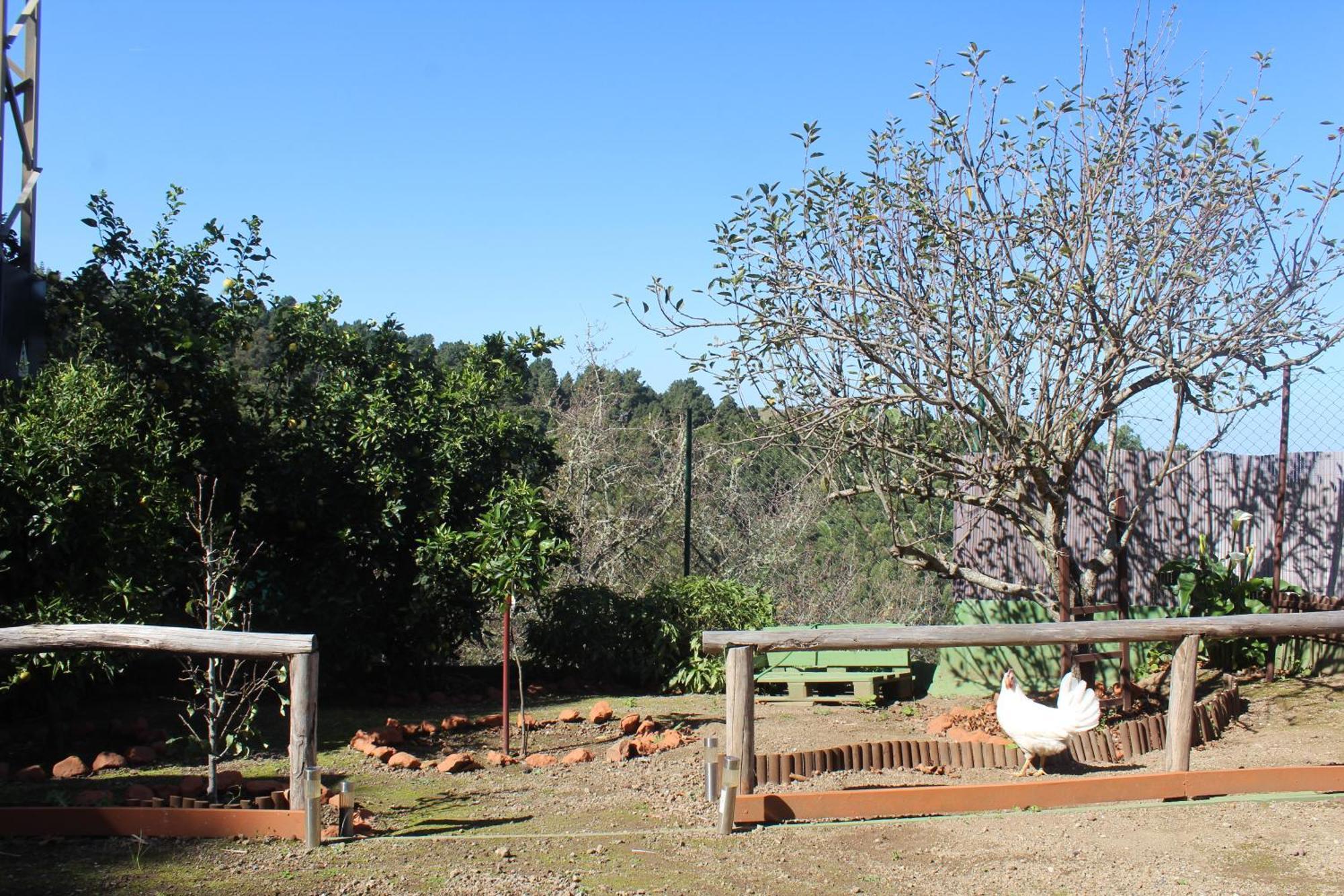 Finca Esther Las Palmas de Gran Canaria Ngoại thất bức ảnh